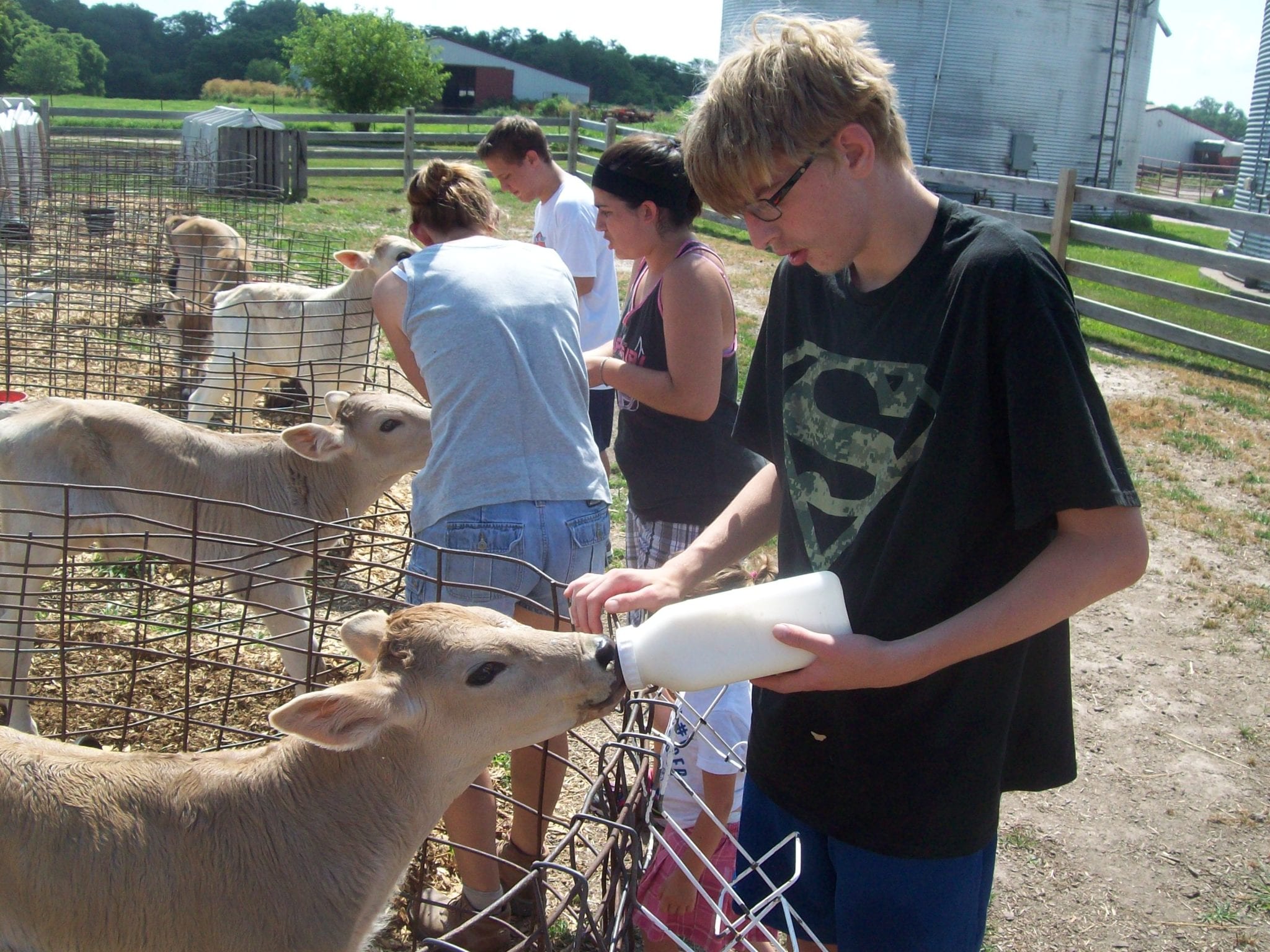 Boy feeding calf with a bottle