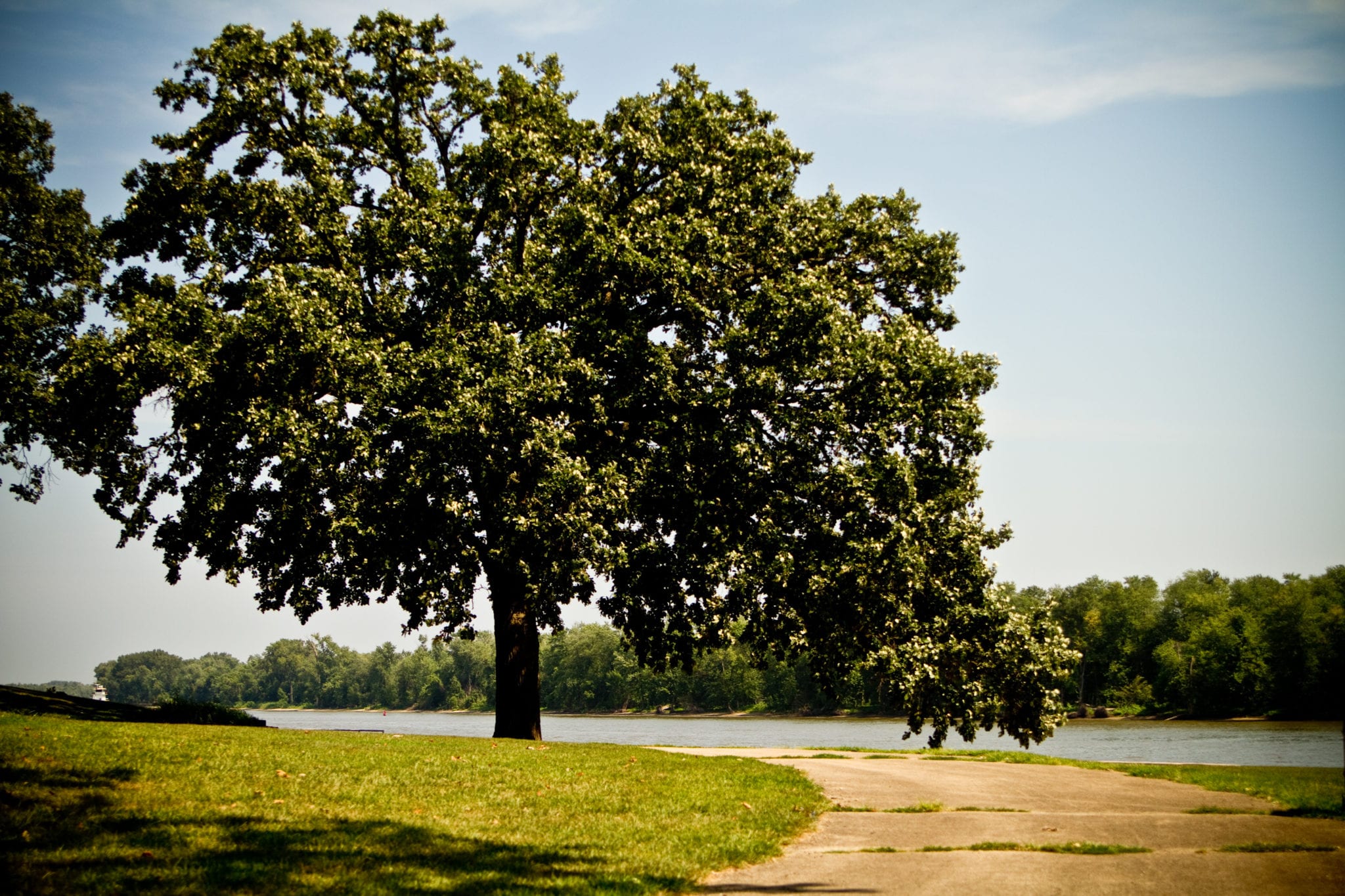 South pavilion walkway